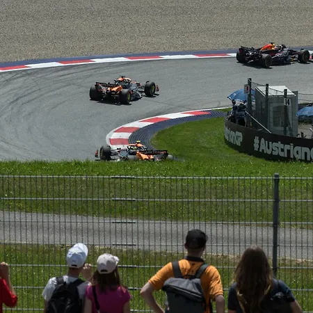 Easy Belgium * ستافيلوت